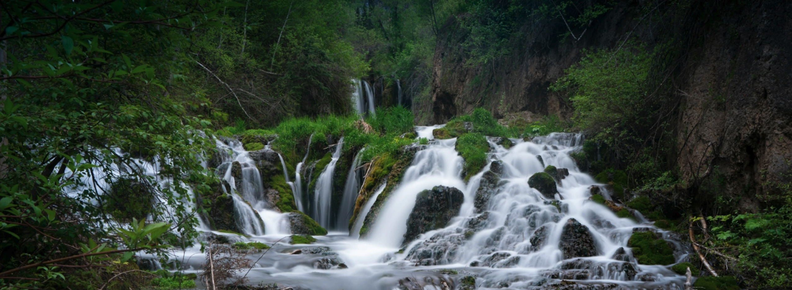 Things to do in the Black Hills